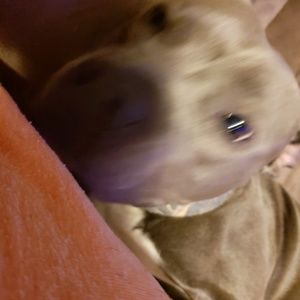 Meet your Posher, Dawn